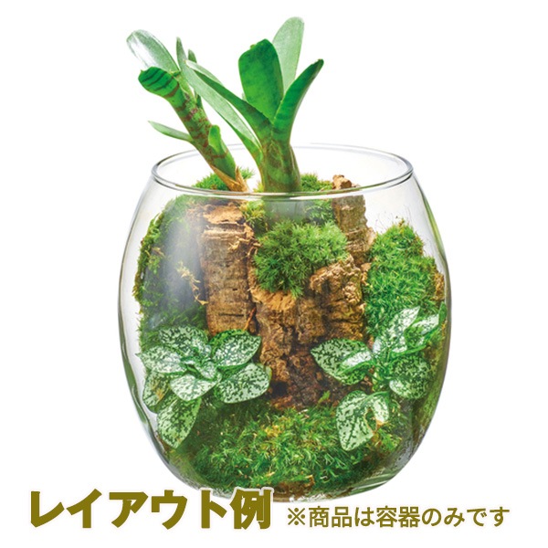 ⭐️ガラスの水族館⭐️箱根ガラス⭐️アクアリウムアート⭐️水泡⭐️ ⭐️ガラスの水族館⭐️箱根ガラス⭐️アクアリウムアート⭐️水泡