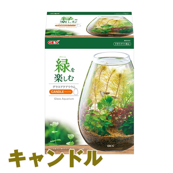 387N【美品】早い者勝ち☆水槽セット 熱帯魚 淡水魚 スタートセット フル