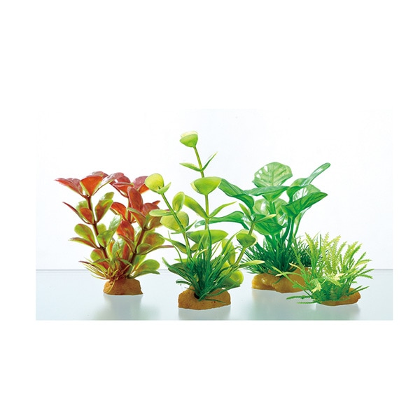 ボトルプランツ アヌビアス GEX(ジェックス) ボトル水槽 プランツ