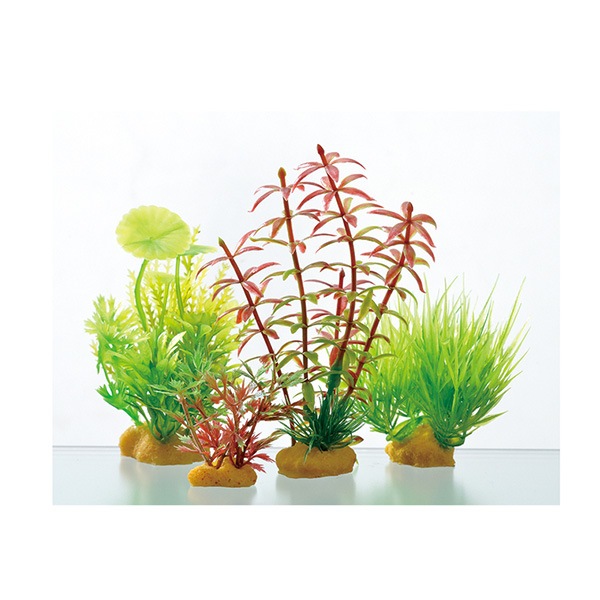 ボトルプランツ ロタラ GEX(ジェックス) ボトル水槽 プランツセット