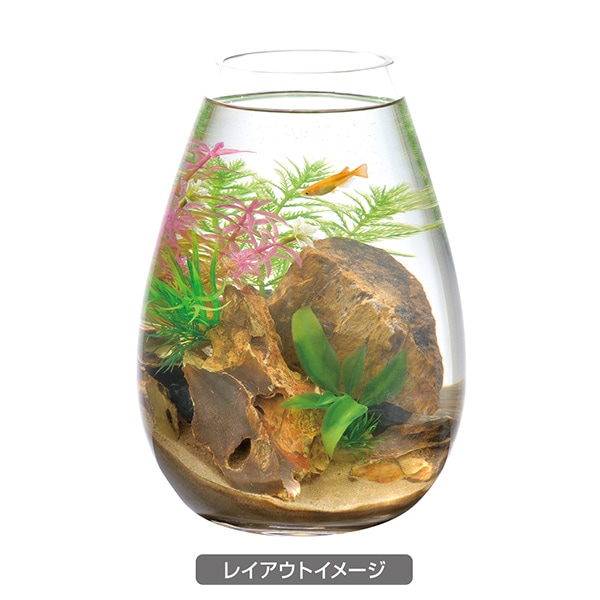 ボトルプランツ ミリオフィラム GEX(ジェックス) ボトル水槽 プランツ