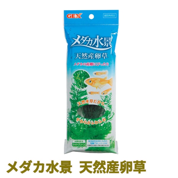 水草セット 29 GEX(ジェックス) | トップクリエイト本店