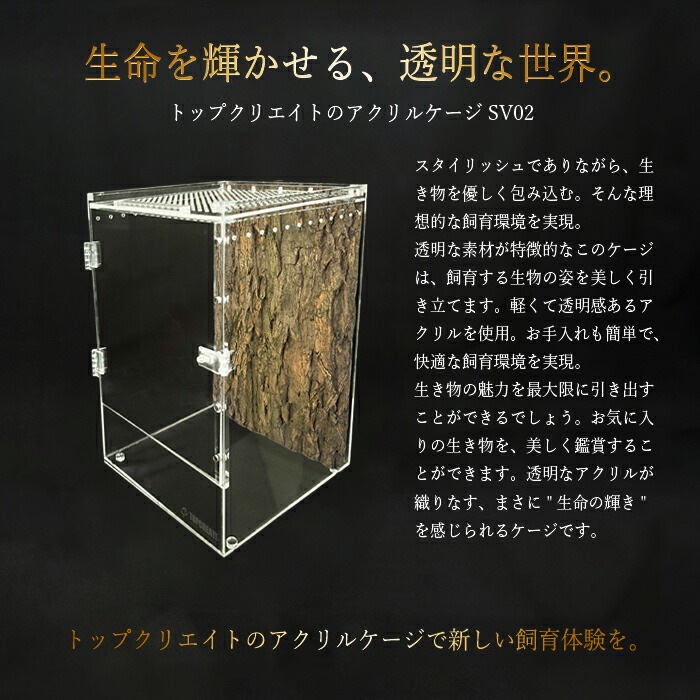 大型アクリルケージ Amazon | FX-SHYQYYMZ クリアアクリル鳥かご 複数飼い大型インコ