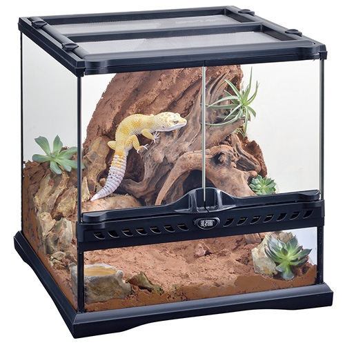 爬虫類・両生類用底材セット デザートソイル 2Kg GEX(ジェックス) 爬虫類 両生類 床材 ソイル