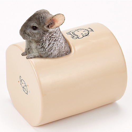 チンチラの砂浴びもできるハウス MLP-84 マルカン(CASA) 砂浴び ハウス