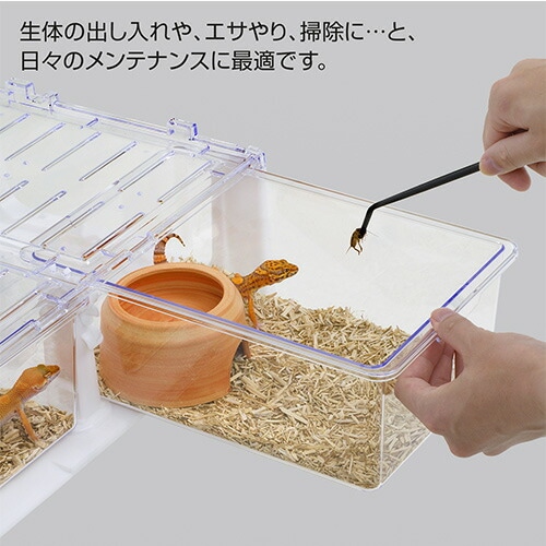 ハープチェストW300 RX-575 スドー | TOPCREATE