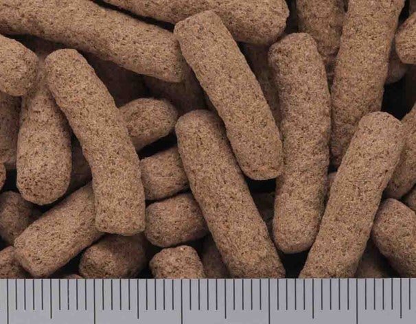 モニタードライ 500g キョーリン 爬虫類 フード オオトカゲ | TOPCREATE