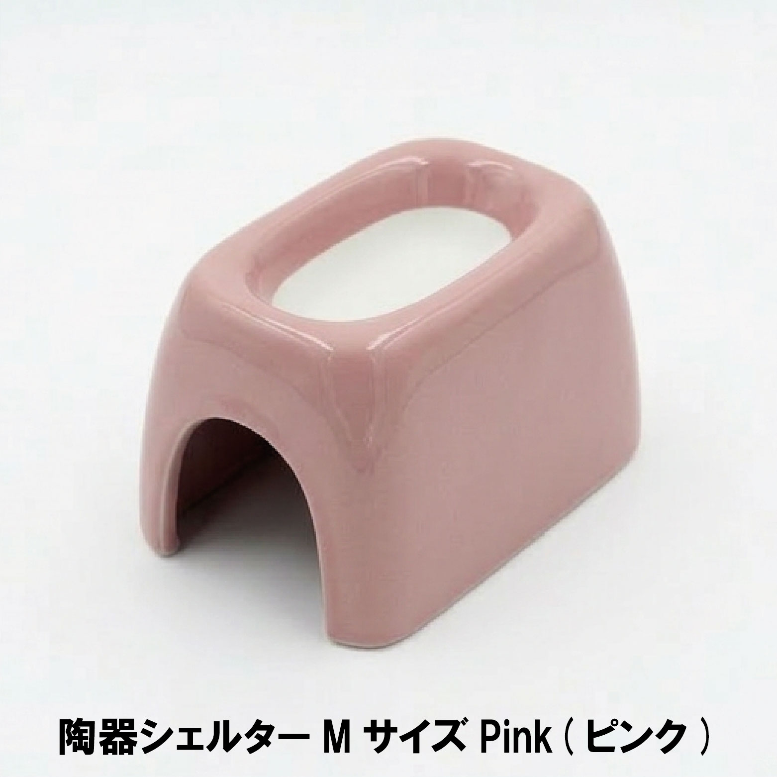 商品一覧｜爬虫類・両生類・ペット用品のトップクリエイト
