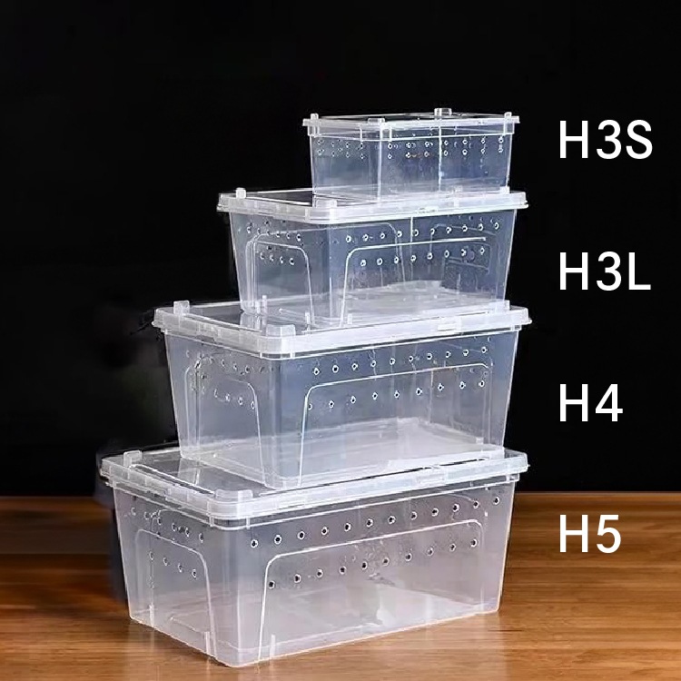 H3S】爬虫類 昆虫 両生類 プラケース | TOPCREATE