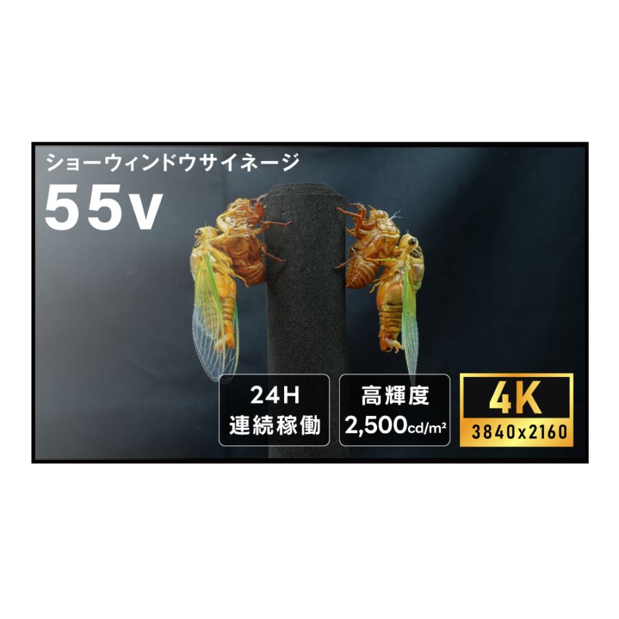 屋内仕様 2500輝度 デジタルサイネージ 55インチ 電子看板 TV-G55-ID