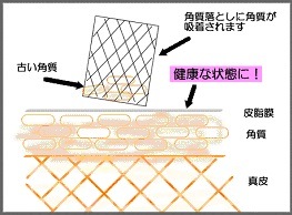 suppinܥǥ롡»桡Ϥǡĥĥ롡ܥǥ