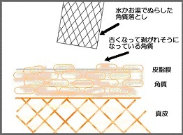 suppinܥǥ롡»桡Ϥǡĥĥ롡ܥǥ