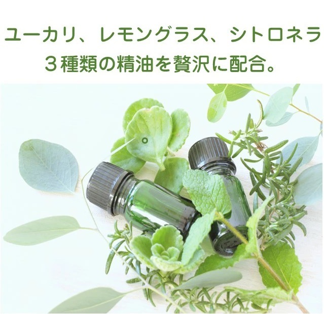 ����̵������������褱��4.5��6���ѡ�