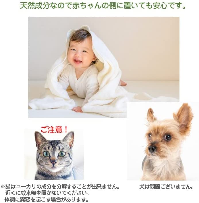 ����̵������������褱��4.5��6���ѡ�