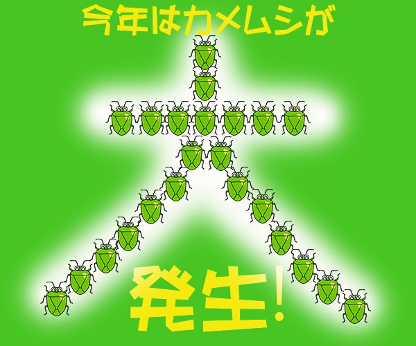 ����С�����ॷ������С�������ॷ���ߤ겼���Ƥ���ष����դ��ʤ���