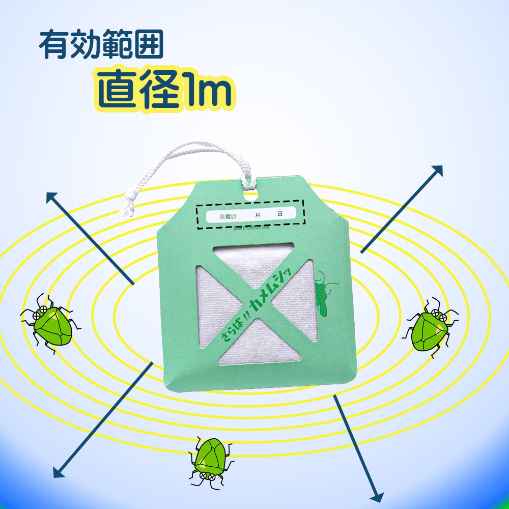 ����С�����ॷ������С�������ॷ���ߤ겼���Ƥ���ष����դ��ʤ���