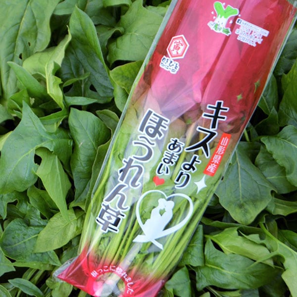 すべての商品 | ねぎびとカンパニー オンラインショップ