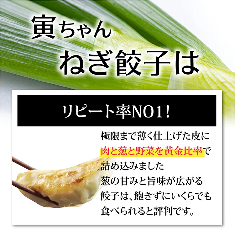 【送料無料】寅ちゃんねぎ餃子（200個入り）