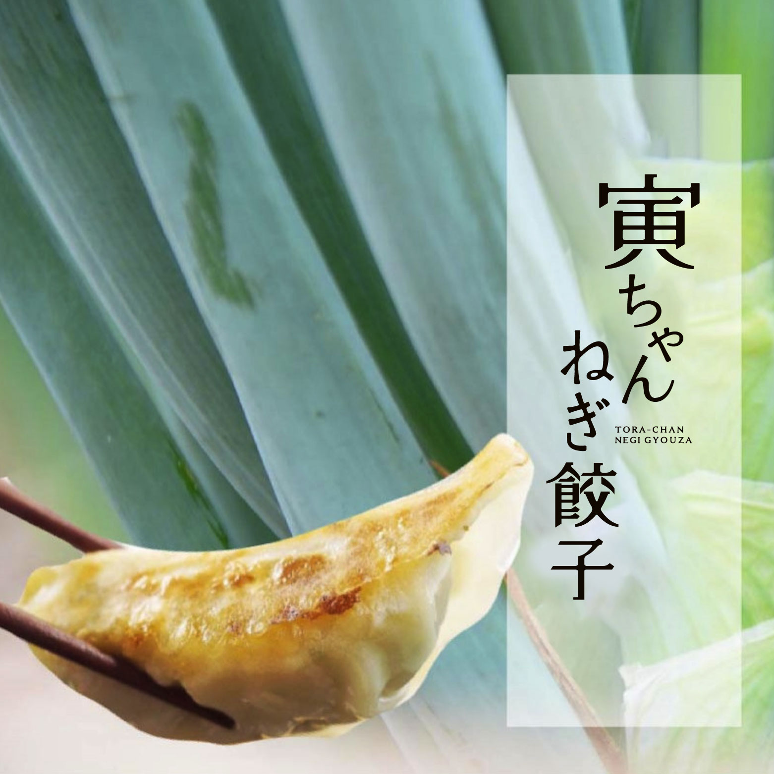 【送料無料】寅ちゃんねぎ餃子（400個入り）