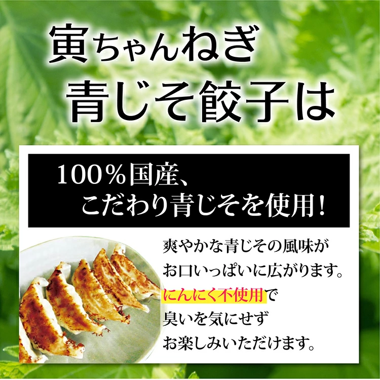 【送料無料】寅ちゃんねぎ青じそ餃子（200個入り）