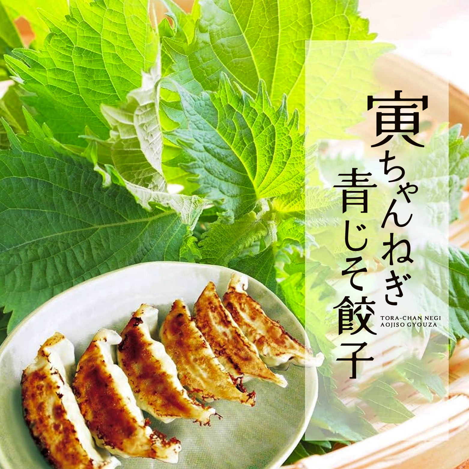 【送料無料】寅ちゃんねぎ青じそ餃子（400個入り）