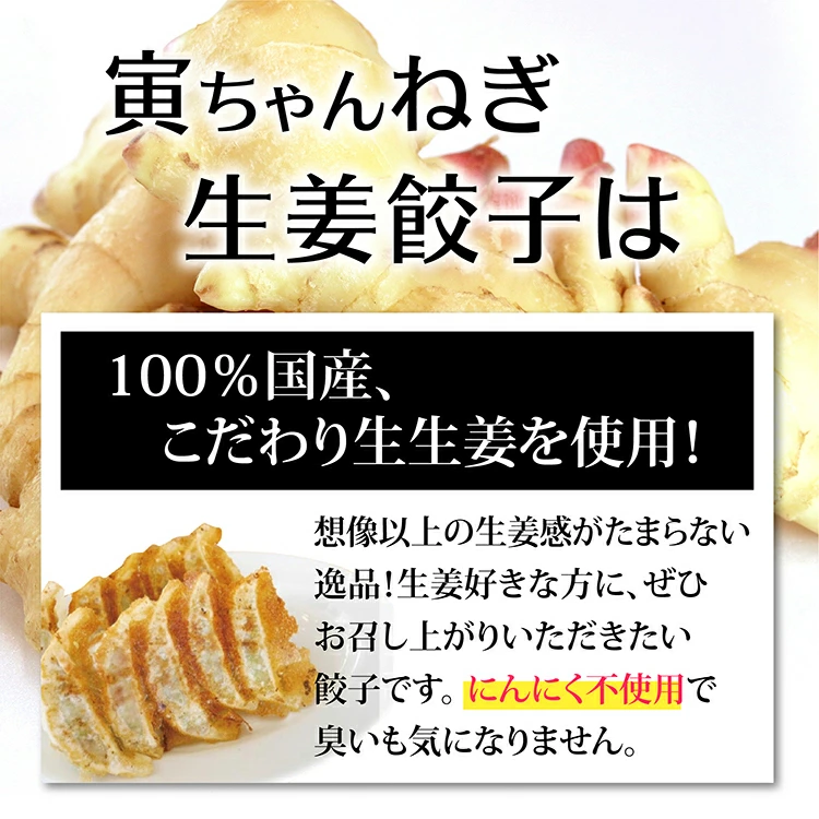【送料無料】寅ちゃんねぎ生姜餃子（200個入り）
