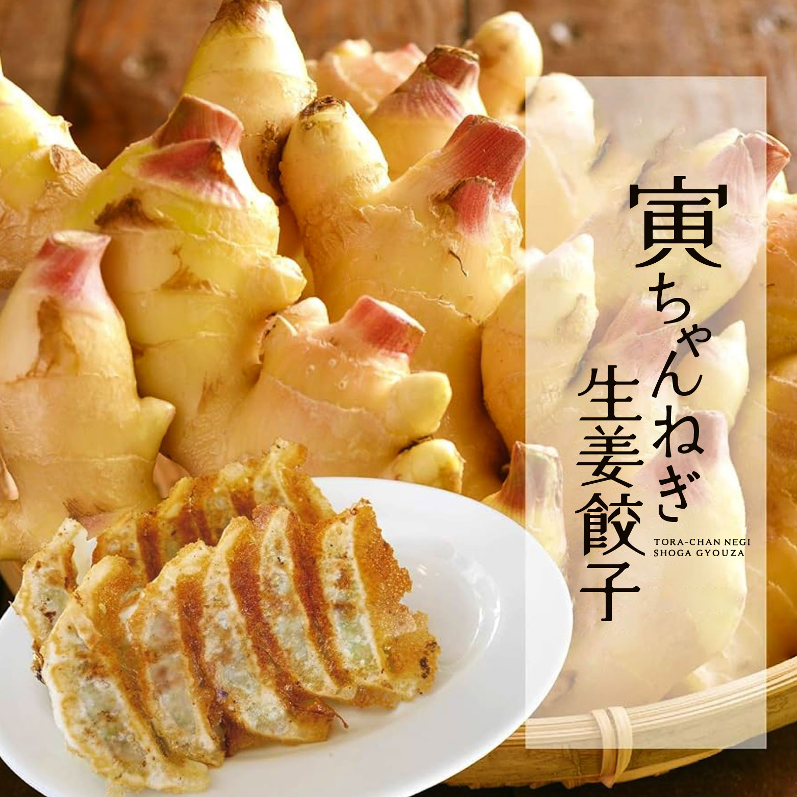 【送料無料】寅ちゃんねぎ生姜餃子（200個入り）