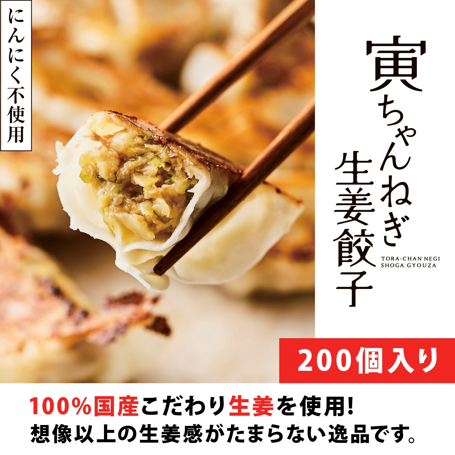 【送料無料】寅ちゃんねぎ生姜餃子（200個入り）