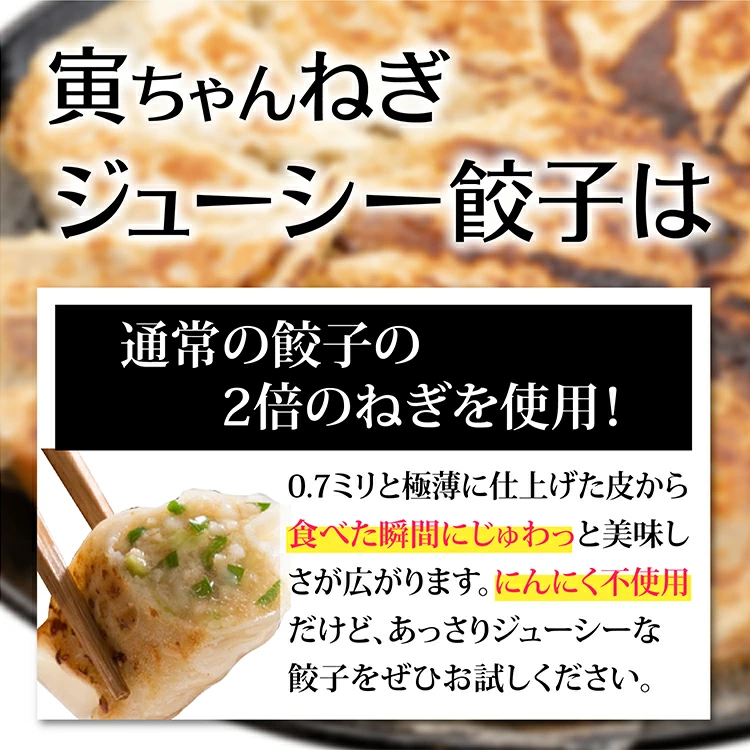 【送料無料】寅ちゃんねぎジューシー餃子(200個入り)