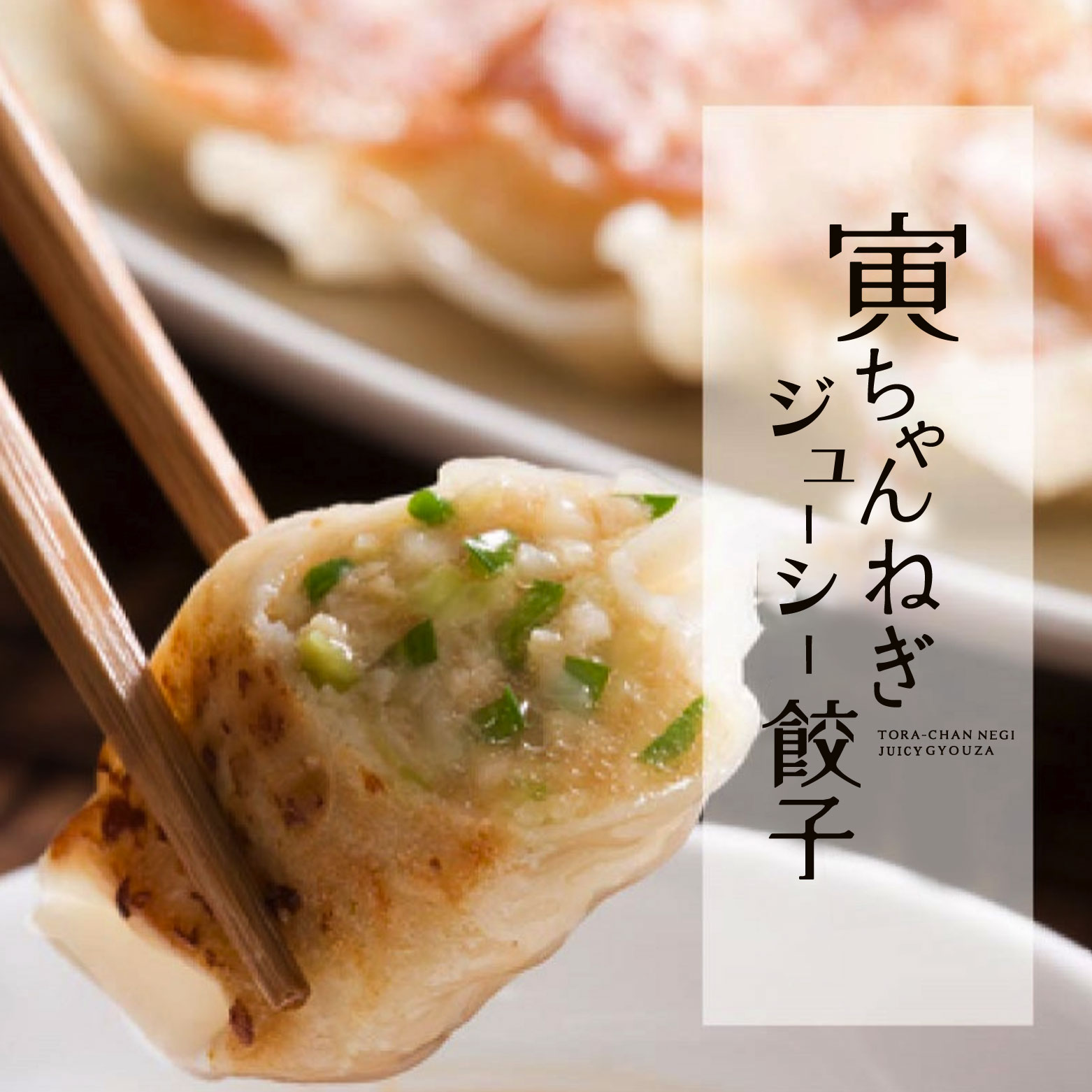 【送料無料】寅ちゃんねぎジューシー餃子(200個入り)