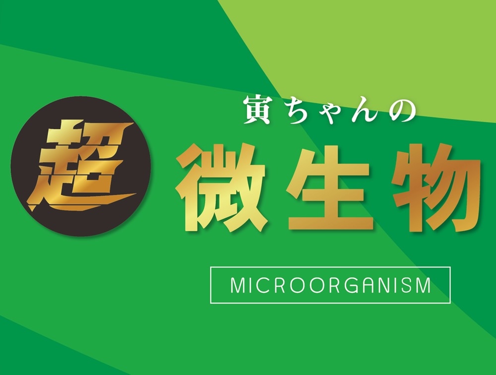 【条件付き送料無料】 超微生物 15kg