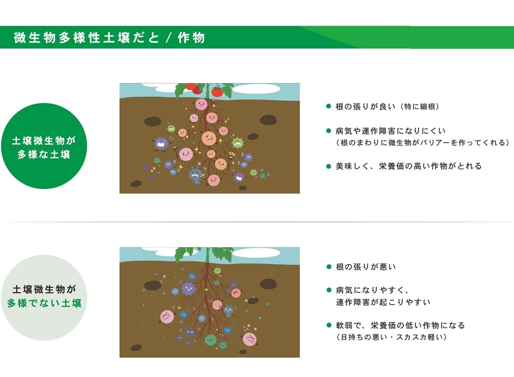 【条件付き送料無料】 超微生物 15kg