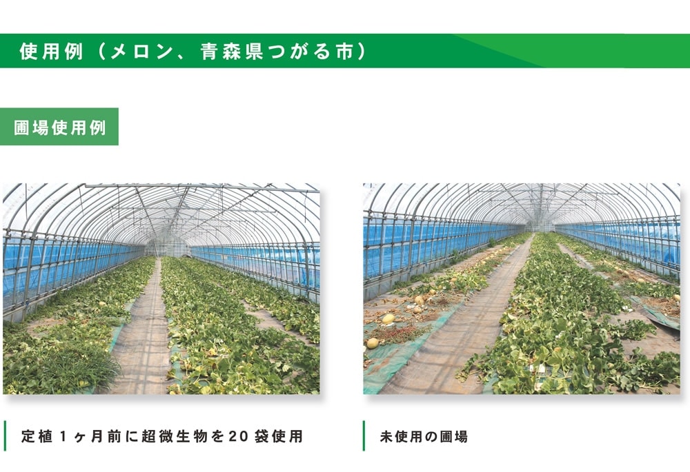 【条件付き送料無料】 超微生物 15kg