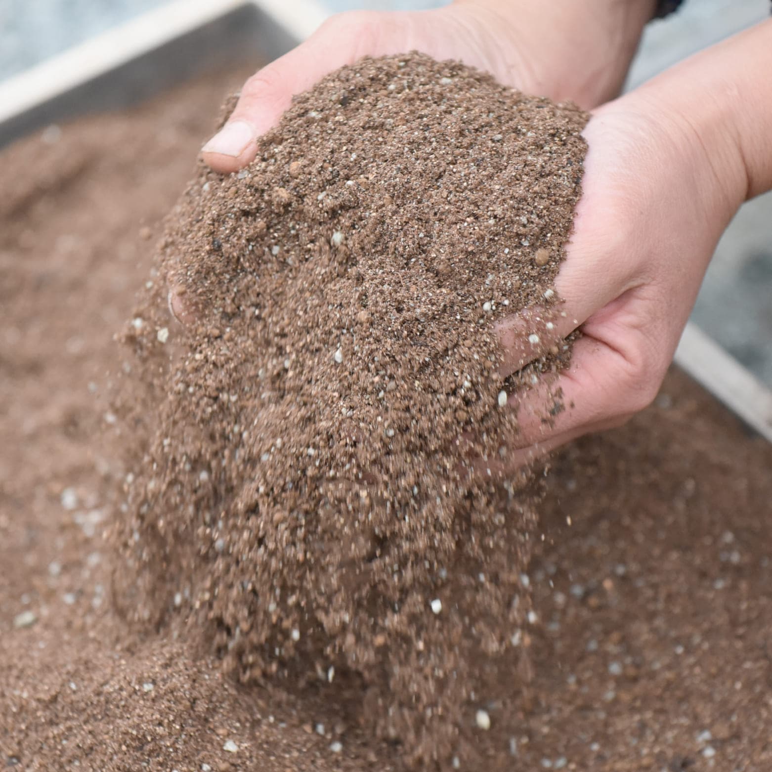 葱師のこだわり培土 10袋1セット