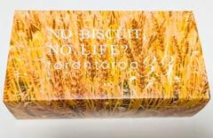 1121-22ȯã꾵ޤʴ̣ڤ५󥫥󥵥֥2024ver.