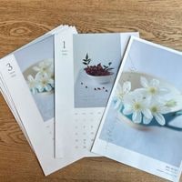 �˺������ 2026��������