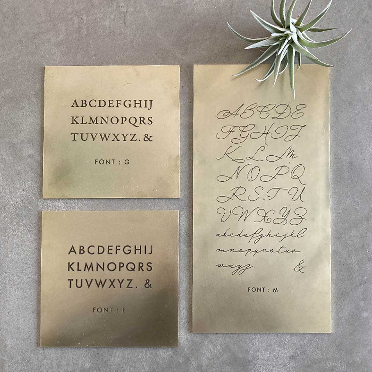 ���ɽ��200x30