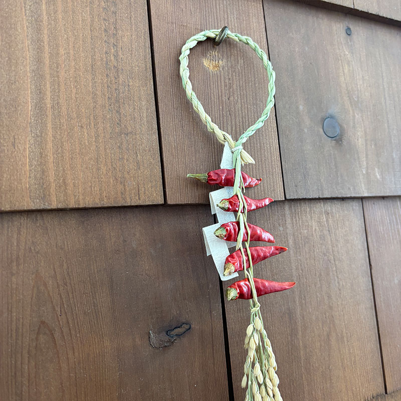 ʺ-�ҤΤ�-�ֹ�ŷ������