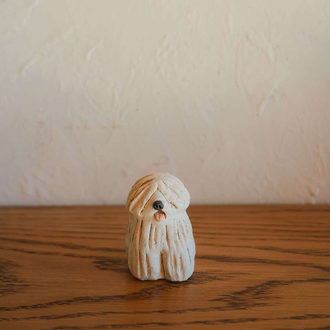 �����ҡ֥�å� ����