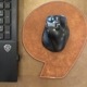 �ޥ����ѥå�