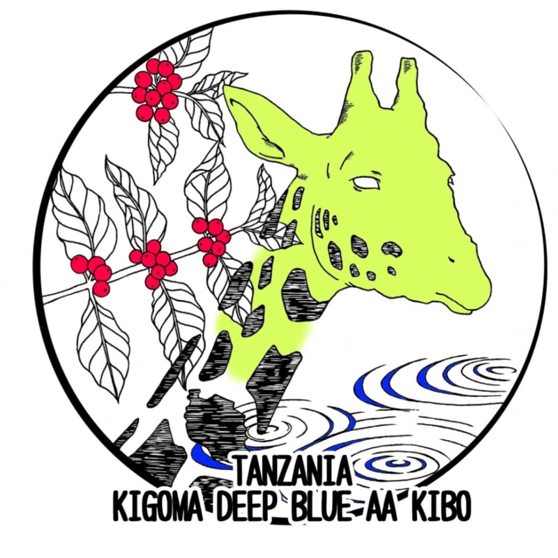 󥶥˥ ޡܡ ǥץ֥롼 AA200g