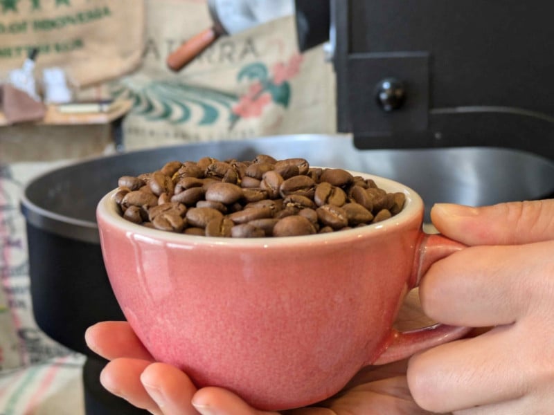 ۥ֥ɡsun blendۡ200g