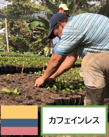 ������ӥ������ե�����쥹��200g��