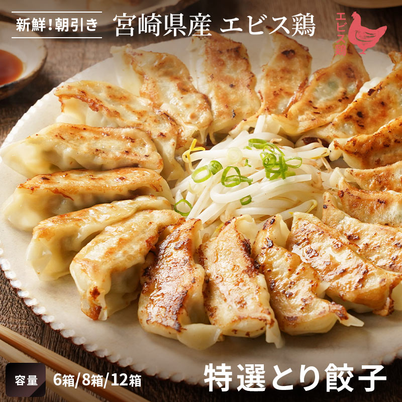 【業務用】特選とり餃子 6箱〜12箱 (1箱54個入)