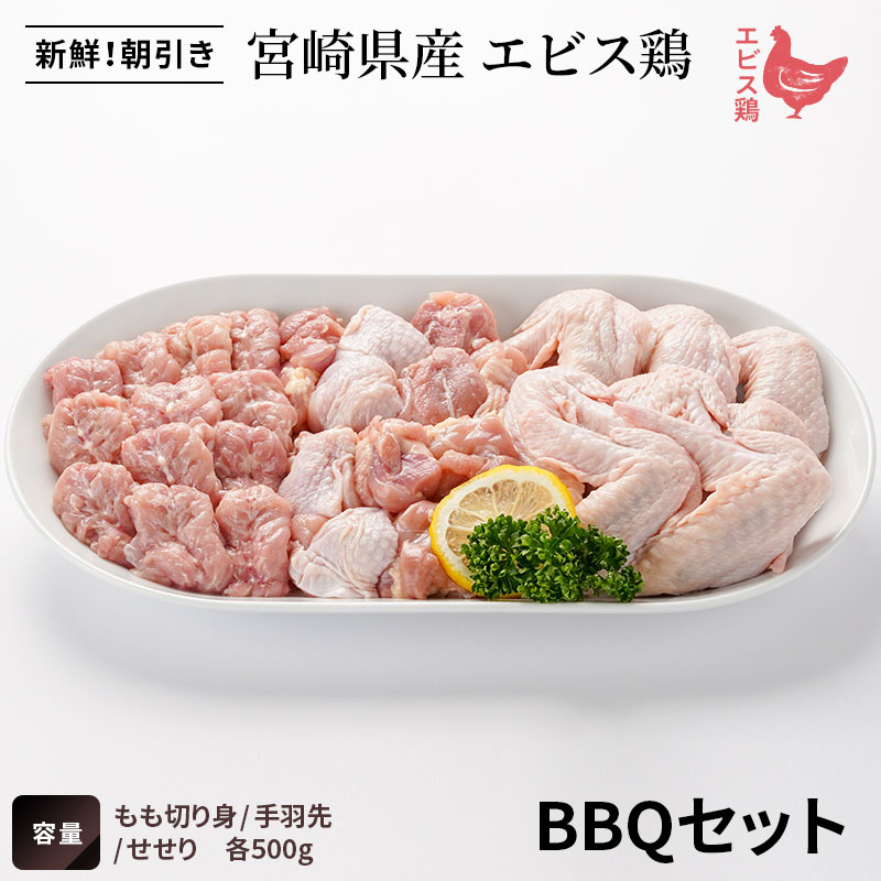 宮崎県産エビス鶏 BBQセットの画像