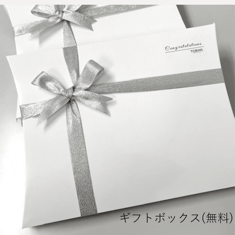 究極のコットン使用「カジュアルTシャツ」レギュラーフィット