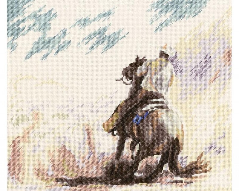 RTO クロスステッチ刺繍キット M490 