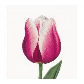 Thea Gouverneur ƥåɽåNo.517  