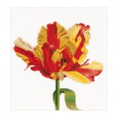 Thea Gouverneur ƥåɽåNo.519 