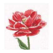 Thea Gouverneur ƥåɽåNo.520 